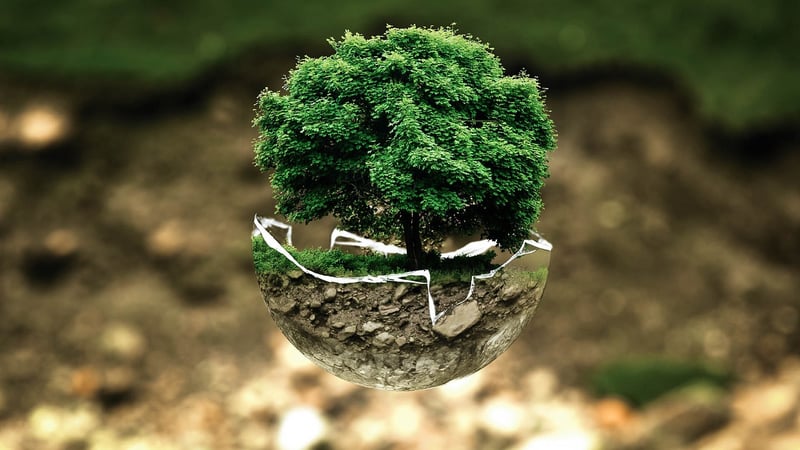 Green Planet